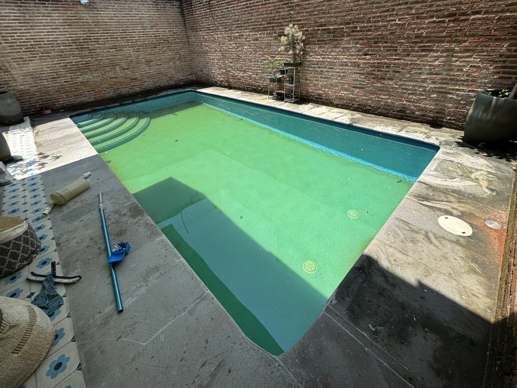 Alberca con agua verde antes del tratamiento
